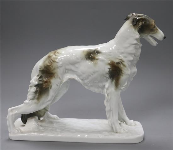 Karl Ens. A model of Borzoi